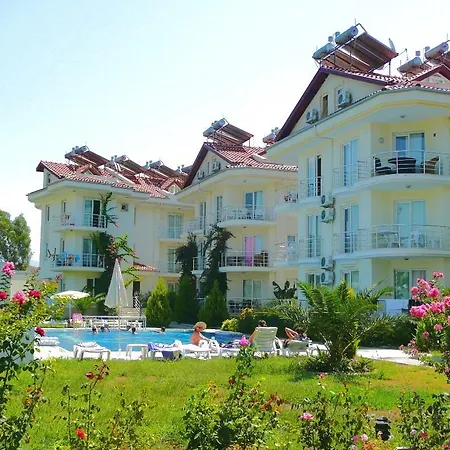 Timelettings Palm Beach * فتحية