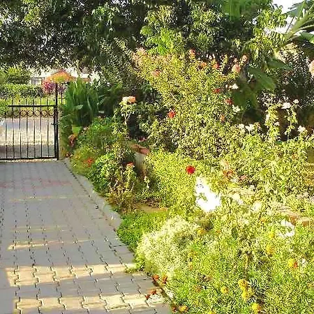 Timelettings Palm Beach فتحية
